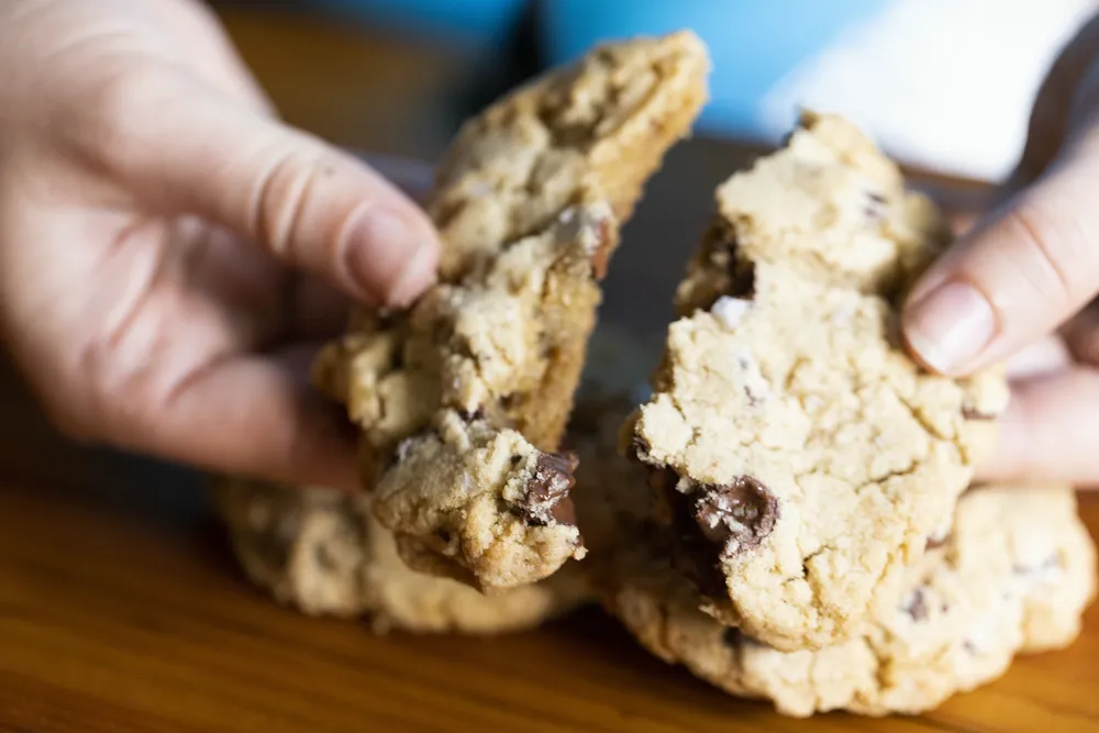 Close-up of a chocolate chip cookie held in two hands, revealing a crumbly texture and melted chocolate chips.
